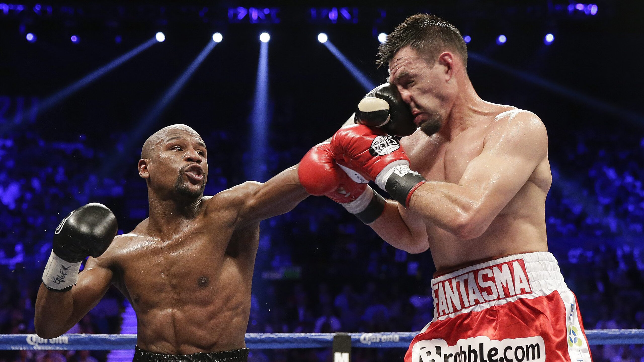 德甲多队增强赛场服务设施，提升观赛体验，德甲场地